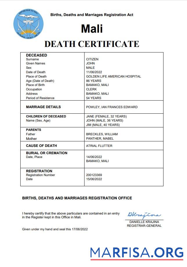 Realistic Mali vital record death certificate Word and PDF template